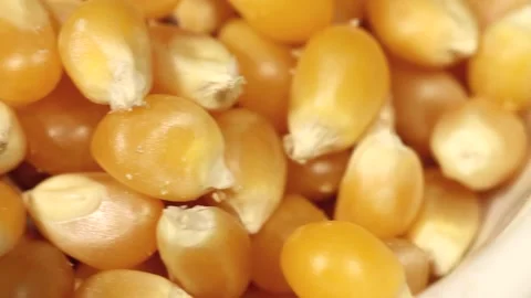 Macro close up dolly past white bowl of popcorn kernels Stock Footage 156461297
