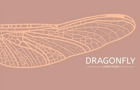 Macro Close Up of Dragonfly Wing Stock Illustration