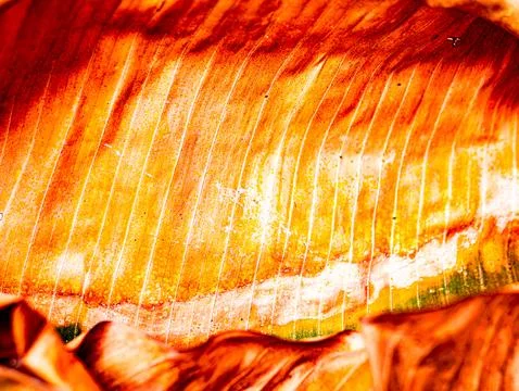 Macro Close-Up of Dried Banana Leaf Surface with Vivid Orange Yellow Texture Stock Photos