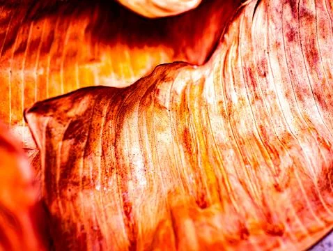 Macro Close-Up of Dried Banana Leaf Surface with Vivid Orange Yellow Texture Stock Photos