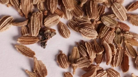 Macro Close-Up of Dried Brown Seeds on a White Surface Stock Footage 326093984
