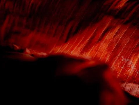 Macro Close-Up of Dried Red Brown Banana Leaf Layers with Natural Vein Textur Фото