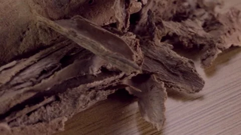 Macro Close Up of Dried Tree Bark on Wooden Surface Showing Natural Texture Stock Footage 340867706