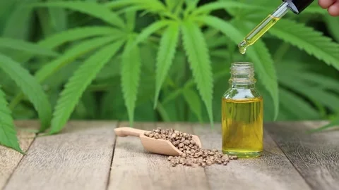 Macro close up of droplet dosing a biological and ecological hemp plant herba Stock Footage 201503680