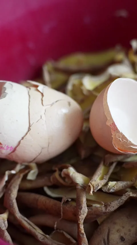 Macro close-up of eggshells and vegetable peels in a red bowl, kitchen scraps Stock Footage 327889580