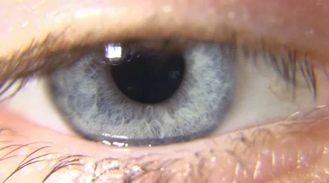 Macro Close-up eye Beauty blinking Stock Footage 57880543