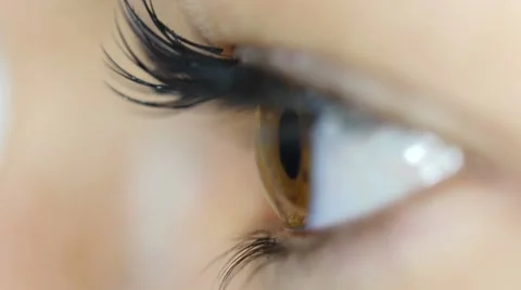 Macro Close-up of eye blinking 46759342