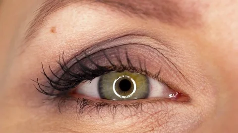 Macro Close-up eye blinking Vidéo 76987201