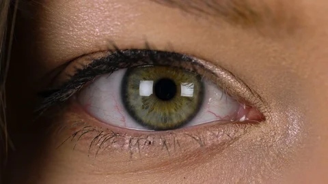 Macro Close-up eye blinking Vidéo 89067293