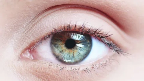 Macro close up eye blinking slow motion 120 fps(1080P HD) Stock Footage 157279783