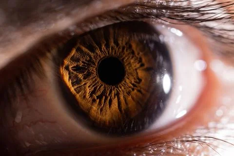 Macro Close Up Of Eye With Extreme Iris Detail Stock Photos