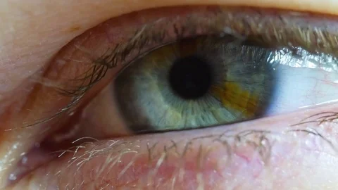 Macro close up of eye lid opening to reveal pupil and iris Stock Footage
