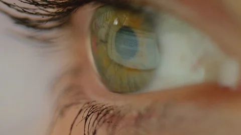 MACRO CLOSE UP: Eye movement when reading a text on a computer screen Stock Footage 85198610