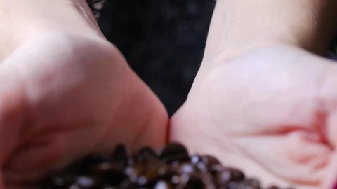 Macro close up of female hands holding brown coffee beans Stock Footage 70243280