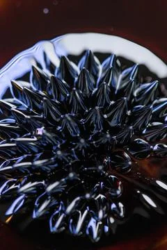 Macro close-up of ferrofluid. Red and blue. Stock Photos