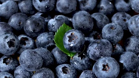 Macro Close Up of Fresh Blueberries Rotating with Green Mint Leaf Stock Footage 340268055