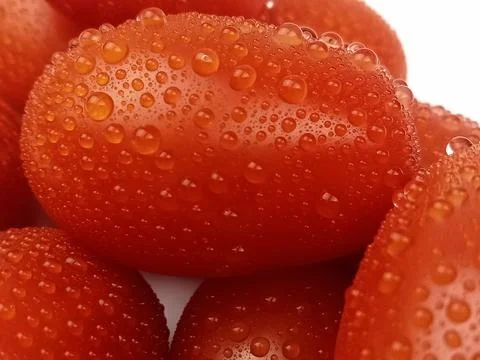 Macro close up of fresh cherry tomatoes with water drops Stock Photos