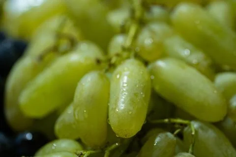 Macro close-up of fresh green grapes with water drops Stock Photos