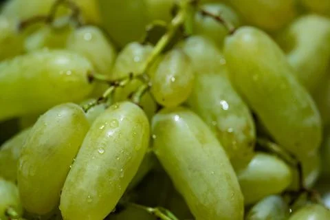 Macro close-up of fresh green grapes with water drops Stock Photos