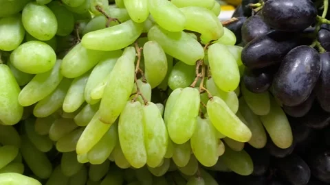 Macro Close-Up of Fresh Green Seedless Grapes at Market Stock Footage 343440558