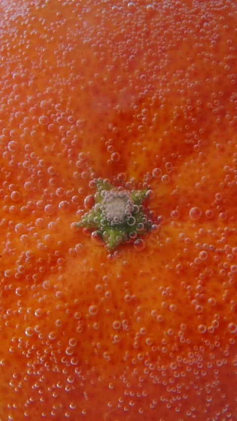 Macro Close Up of Fresh Orange Peel Texture with Sparkling Soda Bubbles Stockbeeldmateriaal 346639815