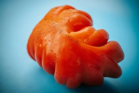 Macro close-up of a fresh red ribbed heirloom tomato. 写真素材
