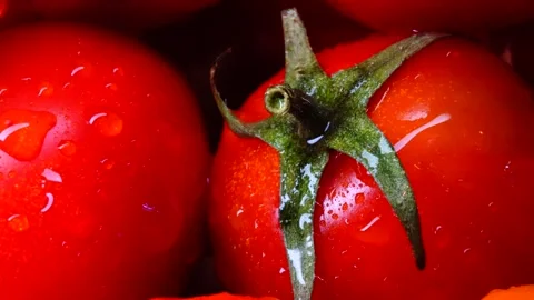 Macro Close Up of Fresh Red Tomatoes with Green Stems &amp; Water Drops Stock Footage 323234458