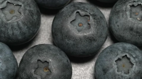 Macro Close Up of Fresh Ripe Blueberries in Tight Grid Pattern Stock Footage 340566638