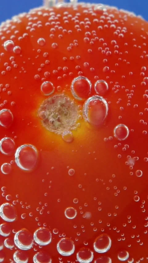 Macro close-up of fresh ripe red tomato underwater with sparkling air bubbles Stock Footage 346774323