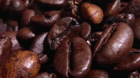 Macro Close-Up of Freshly Roasted Coffee Beans in Detail Stock Footage 255328189