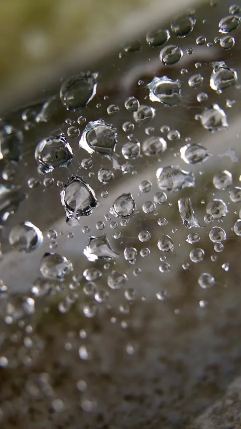 Macro close-up of glittering dew drops caught on a spiderweb against a blur.. Stock Footage 345128315