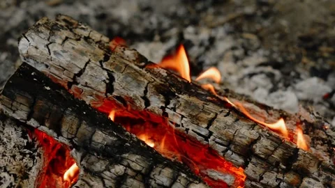 Macro Close-up of Glowing Charcoals and Burning Wood Log Stockbeeldmateriaal 342284282