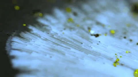 Macro close up of Golden Wet Glitter Particles of acrylic paint and oil. Vídeo Stock 150575994