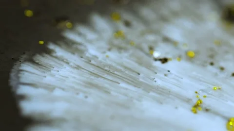 Macro close up of Golden Wet Glitter Particles of acrylic paint and oil. Stock Footage 150576033