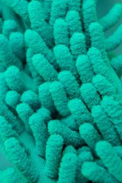 Macro close up of green chenille microfiber texture for cleaning, trapping du Stock Photos