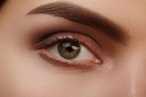Macro close-up of a green eye with defined eyebrow and long lashes. Hazel iris Stock Photos