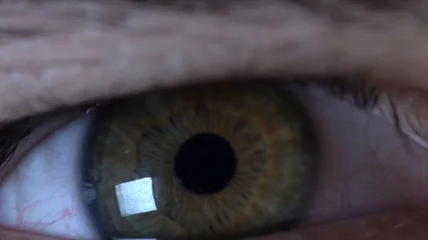 Macro Close Up of a Green Eye Stock Footage 88997958