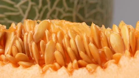 Macro Close Up Green Netted Melon Seeds And Orange Flesh Static 4K Stock Footage 323012986