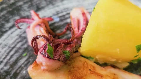Macro close up of grilled calamari tentacles and boiled potato on a rustic Stock Footage 336386689