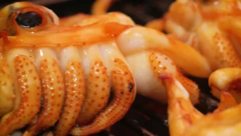 Macro Close-Up of Grilled Squid Tentacles Sizzling on Barbecue Grill Stock Footage 344218260