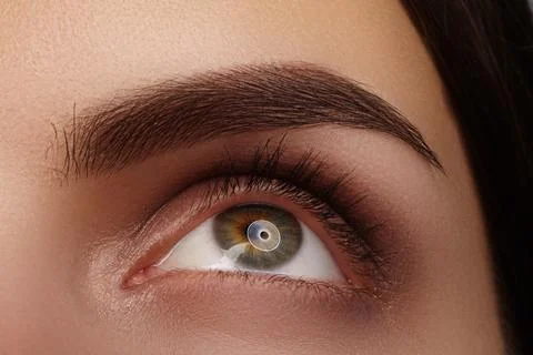 Macro close-up hazel eye and defined eyebrow, natural makeup and clean beauty Stock Photos