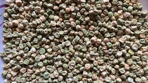 Macro close-up of high-quality dried green peas showing natural texture Stock Footage 328441247