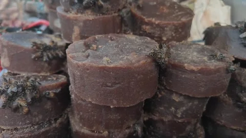 Macro Close-Up of Honeybees Clustered on Sweet Brown Jaggery Stock Footage 339647481