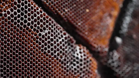 Macro close-up of a honeycomb beehive densely packed with hexagonal beeswax Video stock 327530728