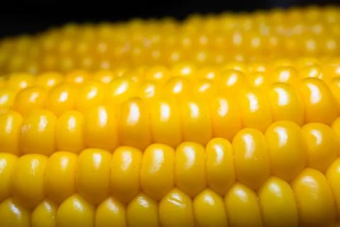 Macro close-up of hot boiled sweet corn on the cob sprinkled with white sea salt Stock Photos