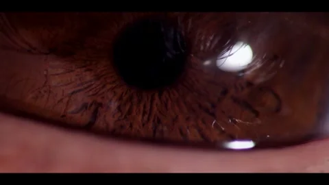 Macro close up of a human eye iris blinking Stock Footage 329751280
