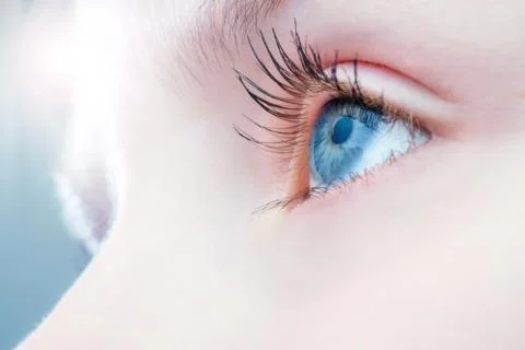 Macro close up of human eye. Foto stock