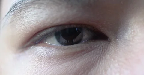 Macro close-up of a human eye showing detailed iris, eyelashes, and skin te.. Stock Footage 340821744
