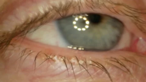 Macro close-up human grey and blue eye looking nervous Stock-Footage 221830678