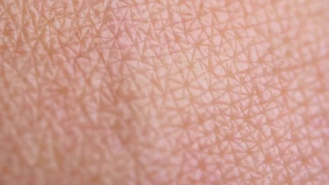 Macro close up of human skin texture and pores Video stock 332275084